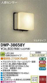 DWP-38658Y