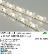 DSY-53134