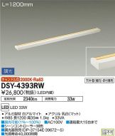 DSY-4393RW