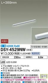 DSY-4529NW