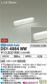 DSY-4884WW