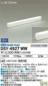 DSY-4927WW