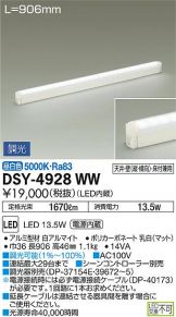 DSY-4928WW