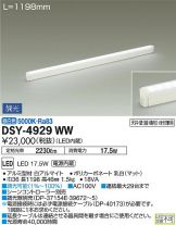 DSY-4929WW