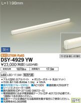 DSY-4929YW