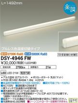 DSY-4946FW