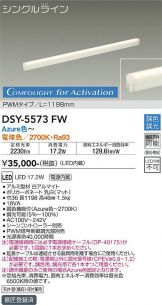 DSY-5573FW