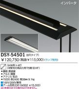 DSY-54501