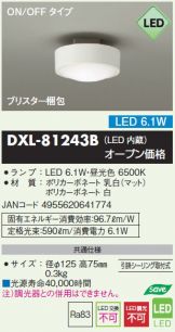 DXL-81243B