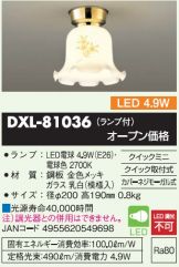 DXL-81036