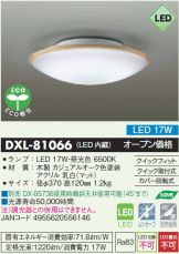 DXL-81066
