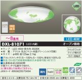 DXL-81071