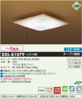 DXL-81079