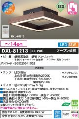 DXL-81213
