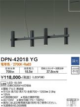 DPN-42018YG