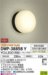 DWP-38858Y