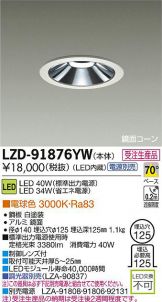 LZD-91876YW