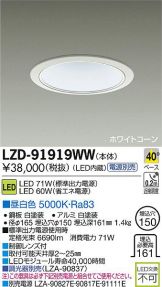LZD-91919WW