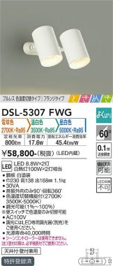 DSL-5307FWG
