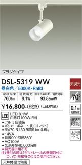 DSL-5319WW
