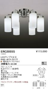 ERC2055S