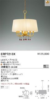 ERP7213X