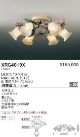 XRG4019X