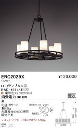 ERC2029X