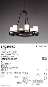 ERC2029X