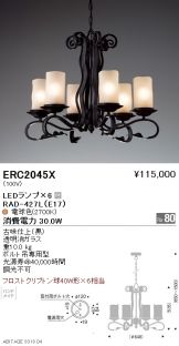 ERC2045X