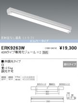 ERK9263W