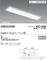 ERK9339W