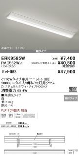 ERK9585W-RAD56<br>
2W