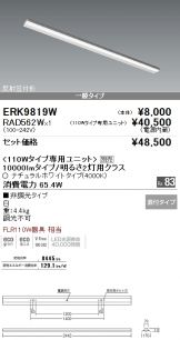 ERK9819W-RAD56<br>
2W