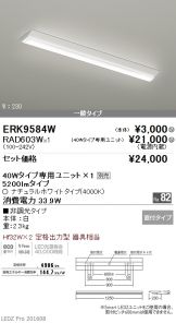 ERK9584W-RAD60<br>
3W