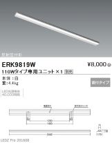 ERK9819W