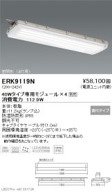 ERK9119N