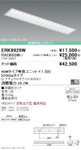 ERK9929W-RAD6<br />
60W