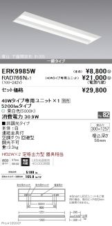 ERK9985W-RAD766N