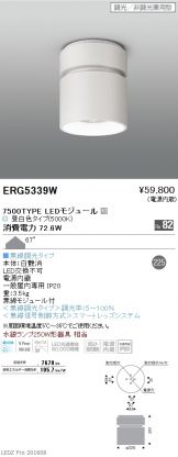 ERG5339W