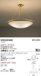 ERG5244K