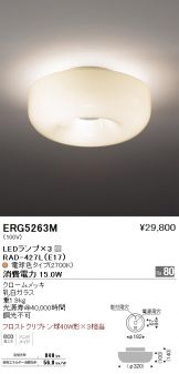 ERG5263M