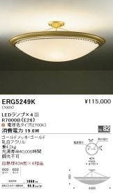 ERG5249K