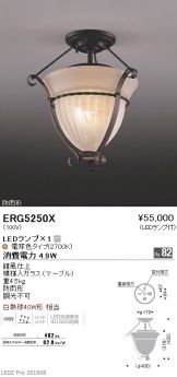 ERG5250X