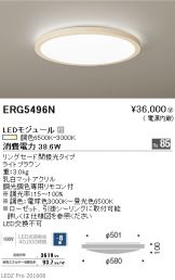 ERG5496N