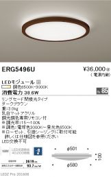 ERG5496U