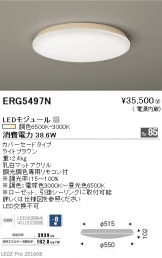 ERG5497N