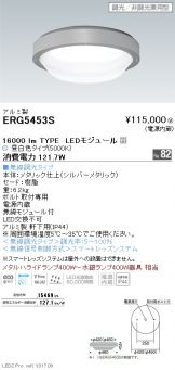 ERG5453S
