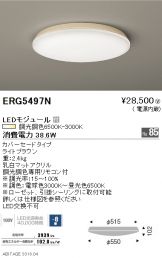 ERG5497N