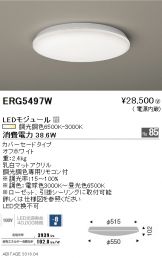 ERG5497W